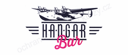 Hangar bar